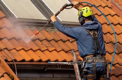 Démoussage et hydrofuge de toiture à Tresnay